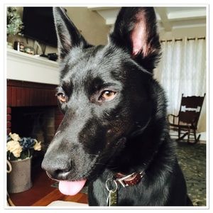 Meet your Posher, Kathleen